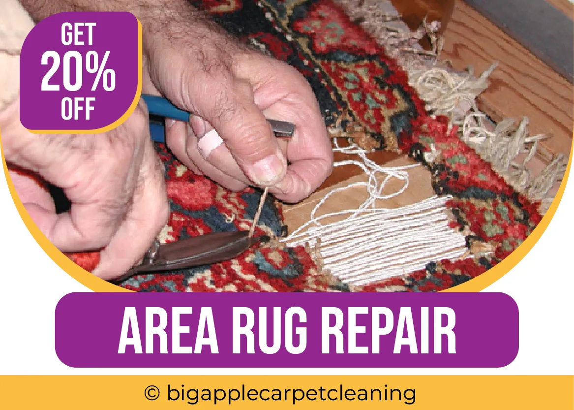 carpet cleaning in new york, carpet cleaning new york, carpet cleaners in new york, carpet cleaners in new york, commercial carpet cleaning, commercial carpet cleaning in new york, new york rug cleaners, rug cleaning services in new york, same day carpet cleaning, same day rug cleaning in new york