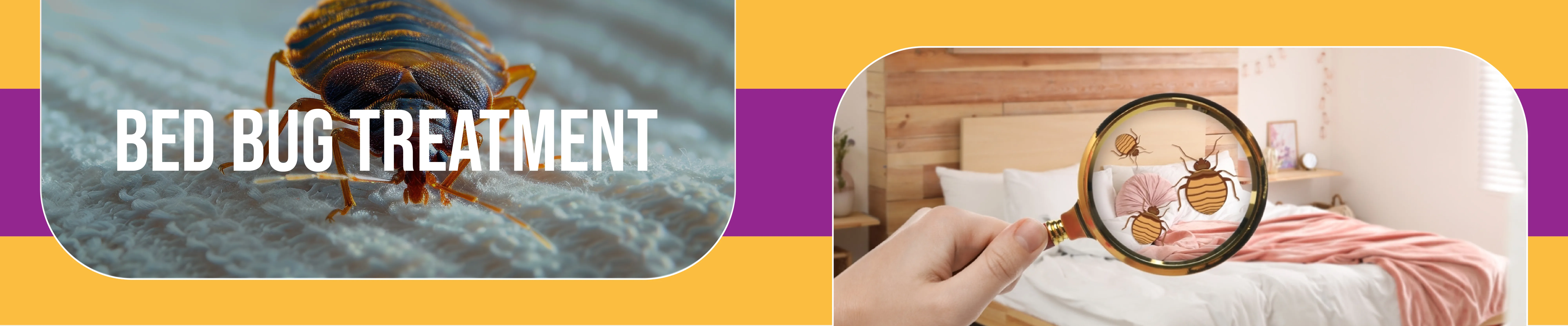 carpet cleaning in new york, carpet cleaning new york, carpet cleaners in new york, carpet cleaners in new york, commercial carpet cleaning, commercial carpet cleaning in new york, new york rug cleaners, rug cleaning services in new york, same day carpet cleaning, same day rug cleaning in new york