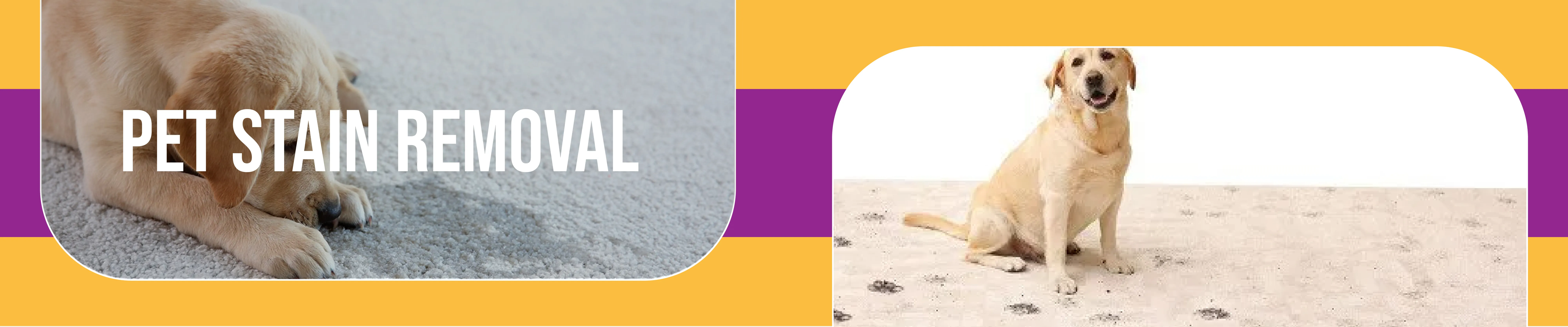 carpet cleaning in new york, carpet cleaning new york, carpet cleaners in new york, carpet cleaners in new york, commercial carpet cleaning, commercial carpet cleaning in new york, new york rug cleaners, rug cleaning services in new york, same day carpet cleaning, same day rug cleaning in new york