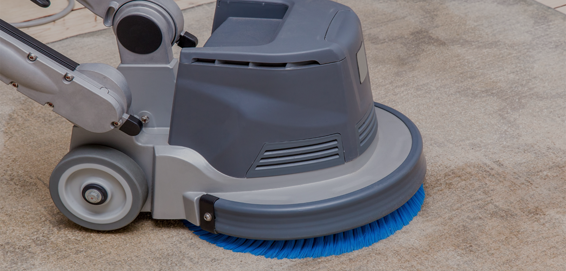 carpet cleaning in new york, carpet cleaning new york, carpet cleaners in new york, carpet cleaners in new york, commercial carpet cleaning, commercial carpet cleaning in new york, new york rug cleaners, rug cleaning services in new york, same day carpet cleaning, same day rug cleaning in new york